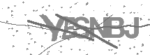 visual captcha